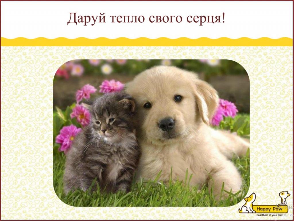 о